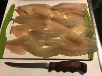 IMG_3898.jpeg IMG_3898.jpeg