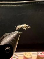 IMG_5135.jpeg