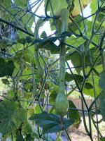 IMG_6078.jpeg
