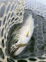 IMG_7926.jpeg