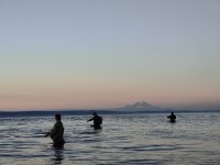 IMG20240801054952.jpg