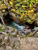 IMG_7490.jpeg