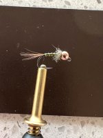 IMG_5143.jpeg