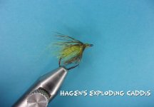 Hagen's Exploding Caddis.jpg Hagen's Exploding Caddis.jpg