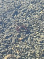 IMG_9151.jpeg