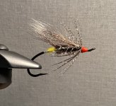 IMG_3598.jpeg IMG_3598.jpeg