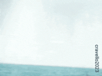 1722734528664.gif
