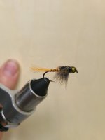 20240803_171037.jpg 20240803_171037.jpg