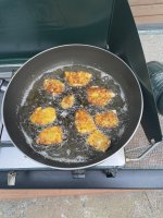 IMG_4286.jpeg