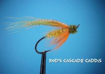 rod's cascade caddis.jpg rod's cascade caddis.jpg