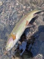 IMG_9615.jpeg