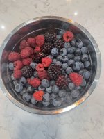 IMG_3539.jpeg