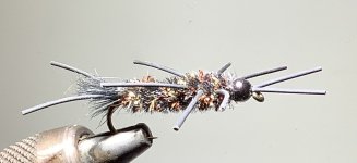 IMG_0107.jpeg