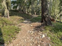IMG_1726.JPG