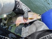 IMG_1741.JPG