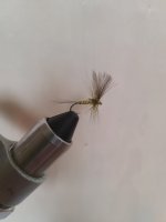 20240804_085236.jpg 20240804_085236.jpg