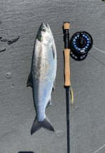 IMG_7895.jpeg
