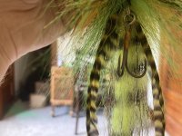 IMG_5418.jpeg