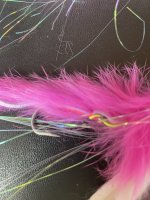 IMG_2681.jpeg