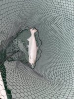 IMG_3997.JPG