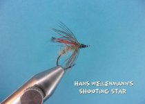 Hans Weilenmann's Shooting Star.jpg Hans Weilenmann's Shooting Star.jpg