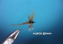 March Brown.jpg March Brown.jpg
