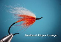 Steelhead Stinger.jpg Steelhead Stinger.jpg