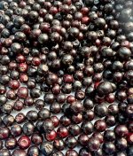 IMG_3746.jpeg IMG_3746.jpeg