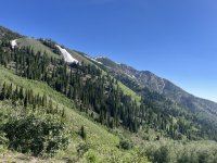 IMG_6505.jpg