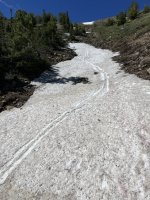 IMG_6525.jpg