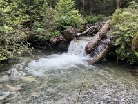 IMG_0604.jpeg