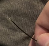IMG_5950.jpeg