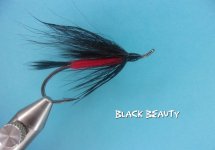 Black Beauty.jpg Black Beauty.jpg