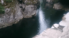 1000003807.gif 1000003807.gif