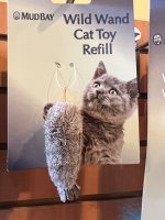 IMG_3786.jpeg
