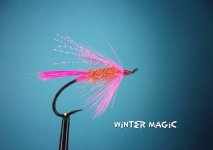 Winter Magic.jpg