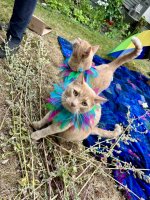 IMG_3813.jpeg