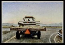IMG_5876.jpeg