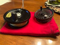 IMG_1019.jpeg