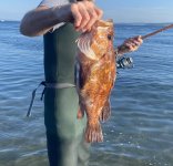 IMG_6040.jpeg