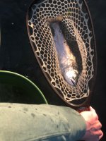 IMG_4118.jpeg