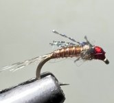 IMG_0115.jpeg