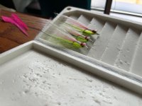 IMG_5365.jpeg