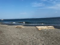 IMG_5137.jpeg