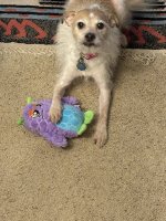 IMG_0679.jpeg