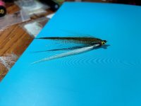 Olive over white clouser.jpg Olive over white clouser.jpg