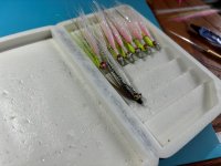 Fall Coho Box in work.jpg Fall Coho Box in work.jpg