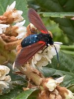 IMG_1283.jpeg