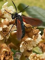 IMG_1277.jpeg
