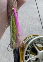 IMG_6076.jpeg